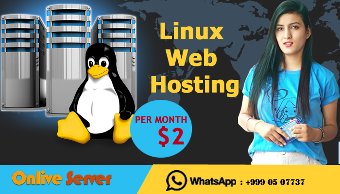 Linux Web Hosting – Various Servers to keep your site protected